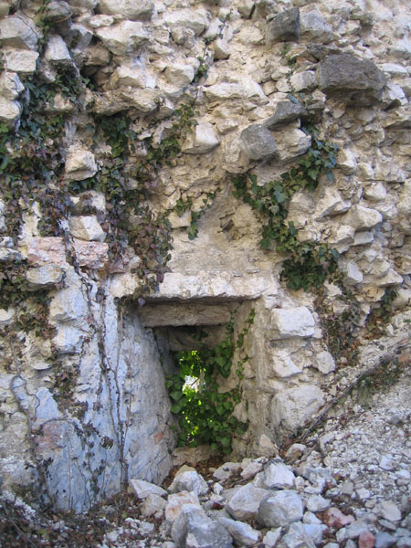 Castelli,Torri e Palazzi.....del Trentino